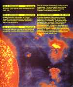 Starcross Browsie Page 7