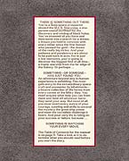 Starcross Browsie Page 9